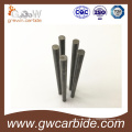 Tungsten Carrbide Barres / barres non moulues